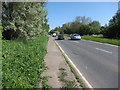 Pavement along A10