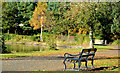 J3675 : Seat, Victoria Park, Belfast by Albert Bridge