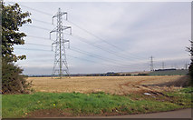 SE9020 : Power Lines near West Halton by David Wright