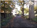 Gawthorpe Drive - viewed from near Spa Lane