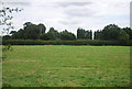 Farmland near Poplar Tree Farm