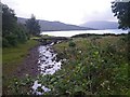 Wee bridge across Bun Allt Eachin