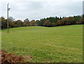 A view towards Cefn Mawr wood from Monkswood