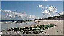 HY4830 : Beach, Mae Banks, Egilsay, Orkney by Claire Pegrum