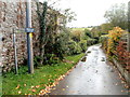 Path to Millbrook Cottage, Little Mill