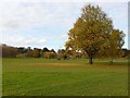 NY4056 : Autumn colours on the Swifts golf course by Oliver Dixon