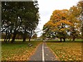 NY4056 : Path across Rickerby Park by Oliver Dixon