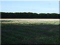 Farmland and trees