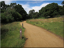 TQ1872 : Cycle path around Richmond Park by Hugh Venables