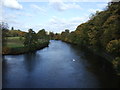 River Trent, Stapenhill 