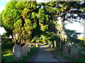 Path in Faversham Cemetery (2)