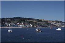SY3491 : Lyme Regis: the bay and the town, from The Cobb by Christopher Hilton