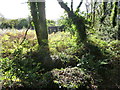 Ruined building on Mynydd Alltir-fach