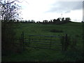 Field entrance, Ingleby