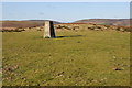 SO2050 : Trig point on Newchurch Hill by Philip Halling