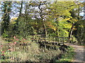 Footpath and footbridge over the River Dibbin