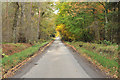 Minor road near Abercairny