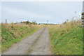 Farm road to Newton of Gorthy