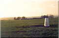 SE6765 : Trig point in field of Sheepclose Farm by Roger Templeman
