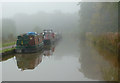 Foggy morning on the canal near Nantwich, Cheshire