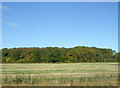 Farmland, Stenson Fields Farm