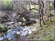 J3432 : The entrenched Shimna River by Eric Jones