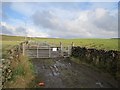 D3404 : Cattle pens off Mullaghsandall Road by Richard Webb