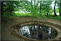 TQ0749 : Dew pond by the North Downs Way by N Chadwick