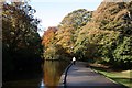 The upper pond in Endcliffe Park