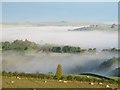 Morning mist in East Allen Dale (2)