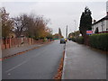 Throstle Lane - Sissons Terrace