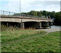 South side of Glasbury Bridge