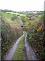 SX2066 : Steep hill on a minor road leading down to Ashford Mill by Rod Allday