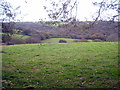 Field at West Draynes