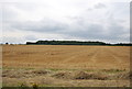 Farmland south of Paglesham Rd