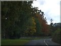 Autumn colour at Bovey Castle