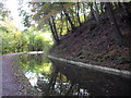 Monmouthshire & Brecon Canal at Coed-y-person