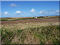 Fields south of Factory Farm