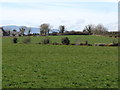 Farmland west of the Aughnahoory Road