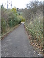 Bridleway - Stanhope Road