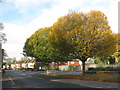 Ferry Road in autumn