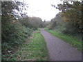 National Cycle Route 62 and Trans Pennine Trail