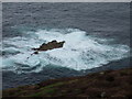 NA7246 : Flannan Isles: small rock off Eilean Mòr by Chris Downer