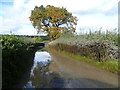 A flooded Ovenden Road