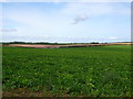 TF7230 : Field Barn near Anmer by Nigel Mykura