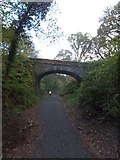 SX4970 : Footpath bridge over Drake's Trail by David Smith