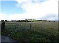 Field next to Shaptor Cross