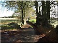 Minor road towards Kennick, adjacent to Blackingstone Rock