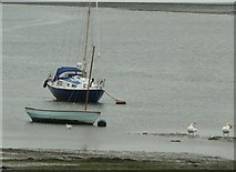 SU8302 : Boats and birds, Dell Quay by Rob Farrow