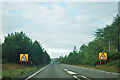 A31 - single carriageway